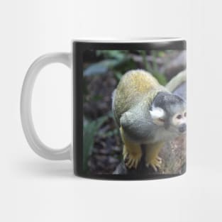 Spider Monkey Mug